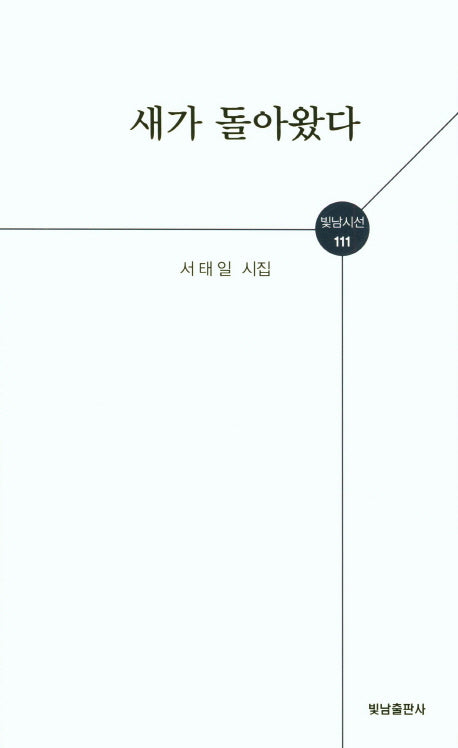새가 돌아왔다(빛남시선 111)