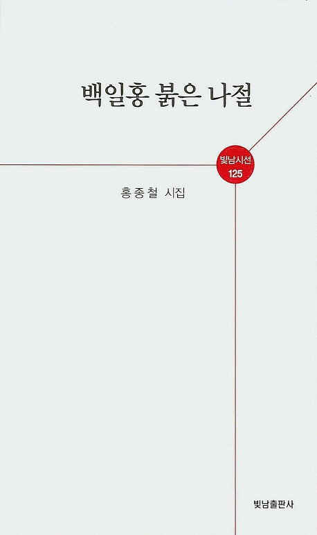 백일홍 붉은 나절(빛남시선 125)