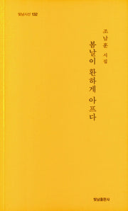 봄날이 환하게 아프다(빛남시선 132)