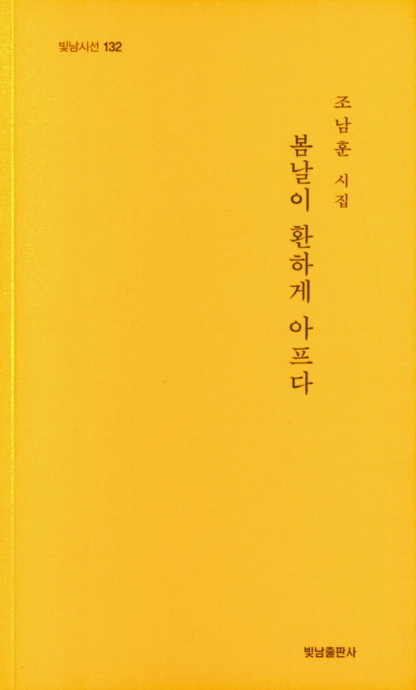 봄날이 환하게 아프다(빛남시선 132)