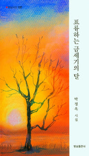 표류하는 금세기의 달(빛남시선 137)