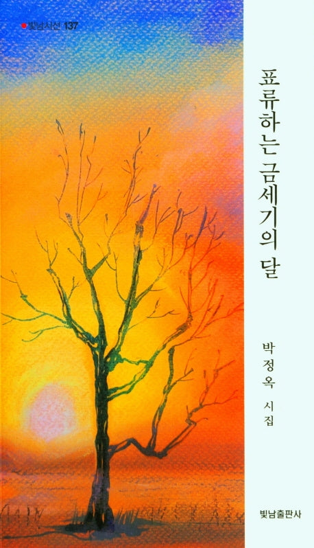 표류하는 금세기의 달(빛남시선 137)