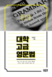 대학 고급 영문법