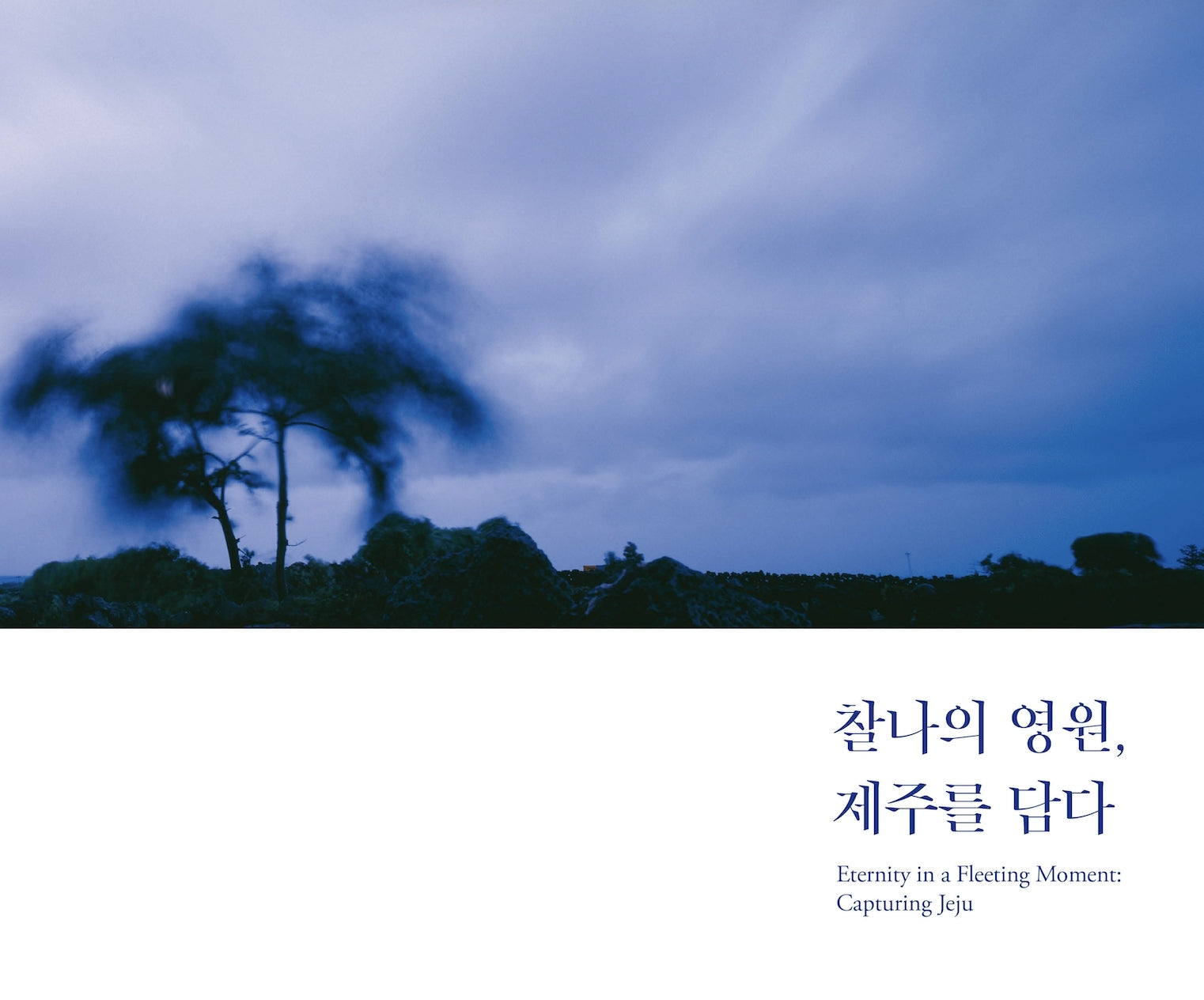 찰나의 영원, 제주를 담다