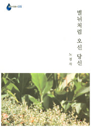 별뉘처럼 오신 당신(현대서정총서 5)