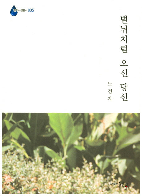 별뉘처럼 오신 당신(현대서정총서 5)