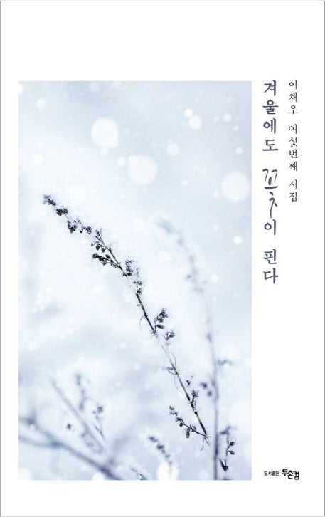 겨울에도 꽃이 핀다