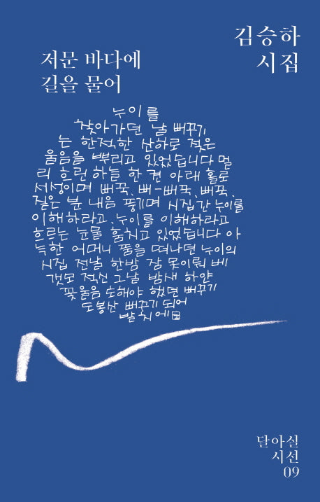 저문 바다에 길을 물어(달아실시선 9)