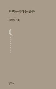 함박눈이라는 슬픔(달아실시선)