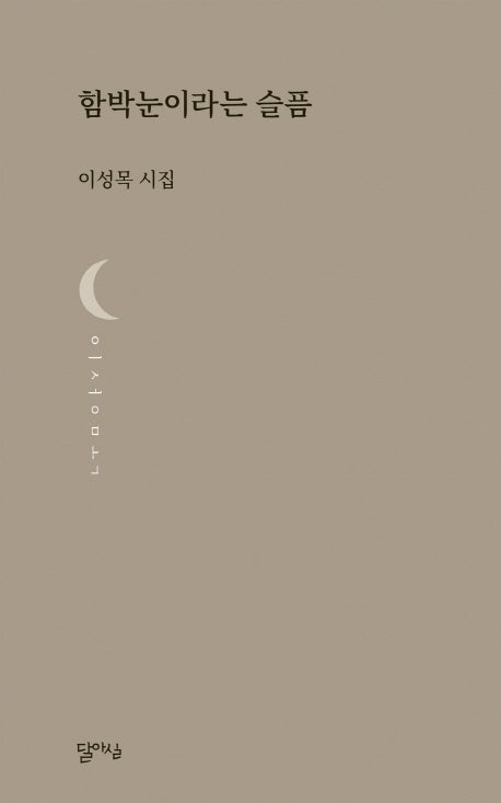 함박눈이라는 슬픔(달아실시선)