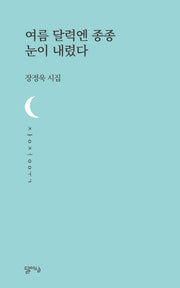 여름 달력엔 종종 눈이 내렸다(달아실시선 15)
