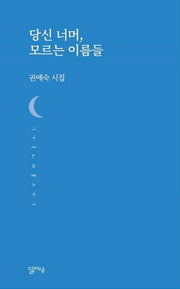 당신 너머, 모르는 이름들(달아실시선 32)