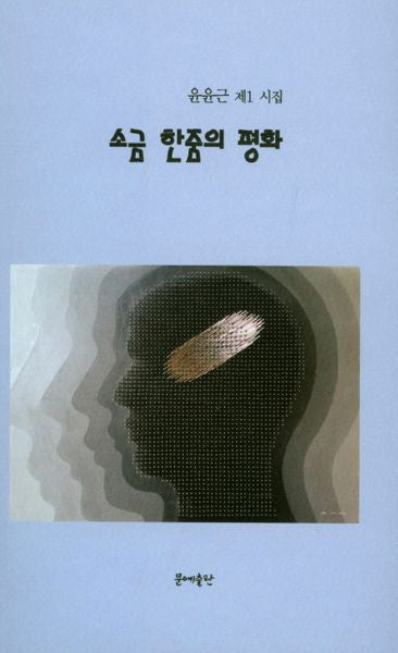 소금 한줌의 평화(문예시선 14)