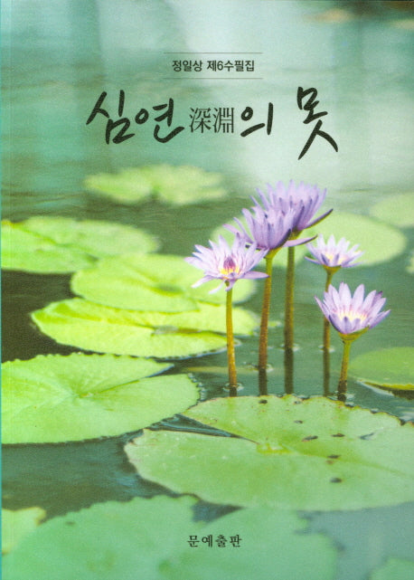 심연의 못