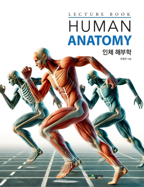 인체해부학