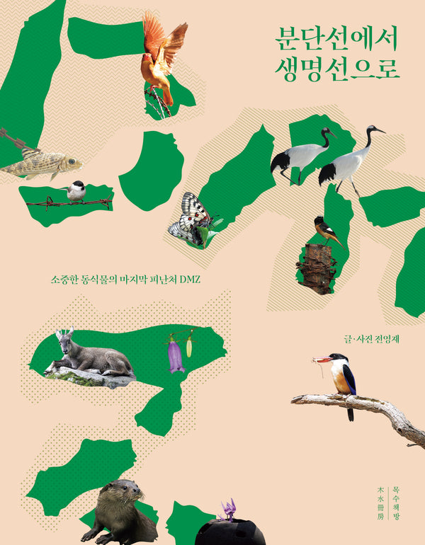분단선에서 생명선으로
