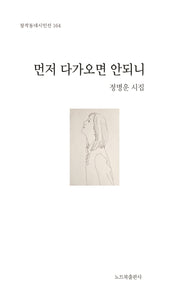 먼저 다가오면 안되니(창작동네 시인선 164)