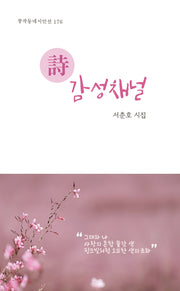시 감성채널(창작동네 시인선 176)