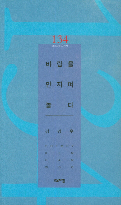 바람을 만지며 놀다(열린시학 시인선 134)