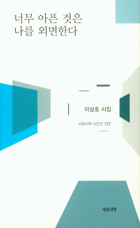 너무 아픈 것은 나를 외면한다(서정시학 시인선 157)(양장본 HardCover)