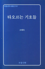 타오르는 기호들(서정시학 비평선 41)