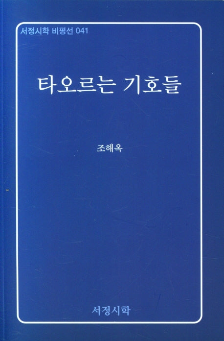 타오르는 기호들(서정시학 비평선 41)
