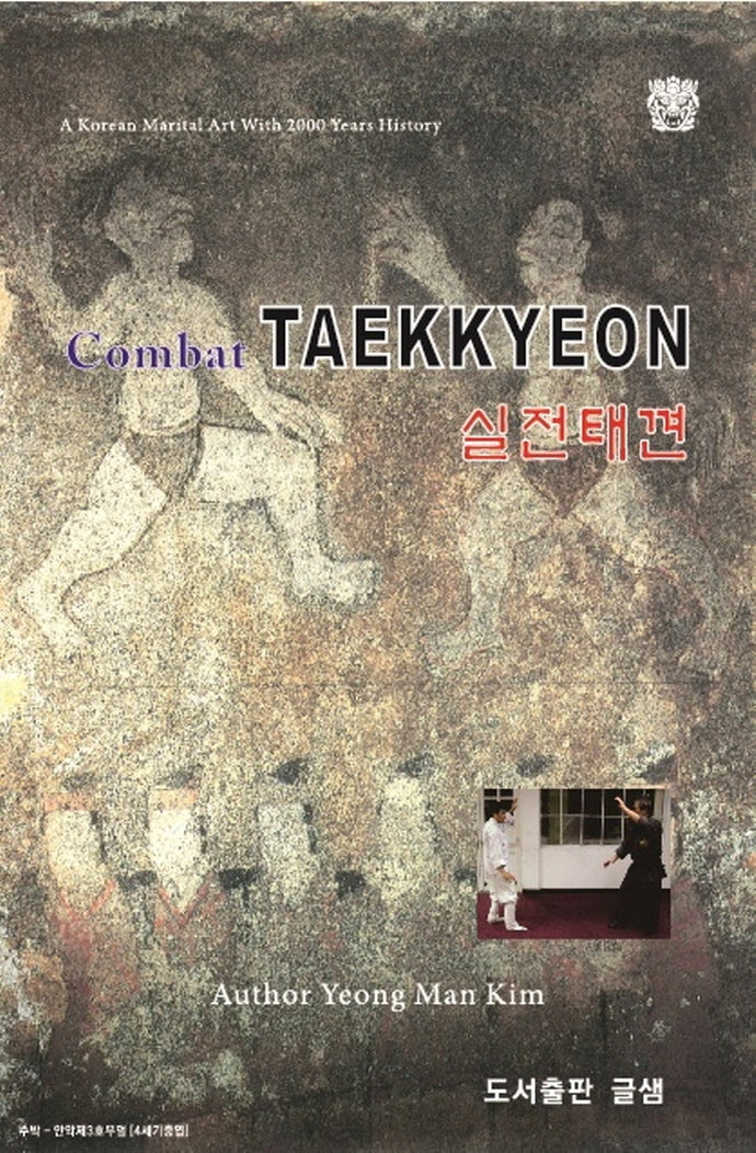 실전태껸