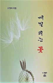 매일 피는 꽃