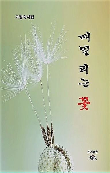 매일 피는 꽃