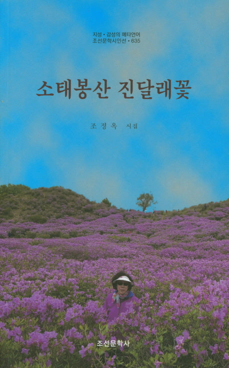 소태봉산 진달래꽃(조선문학시인선 635)
