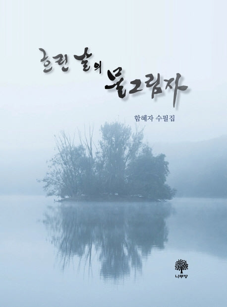 흐린 날의 물그림자