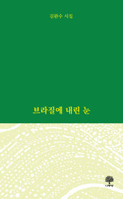 브라질에 내린 눈
