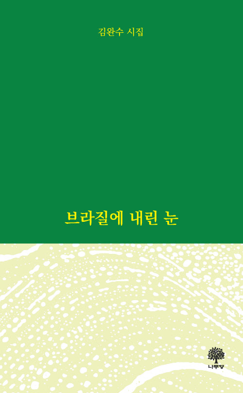 브라질에 내린 눈