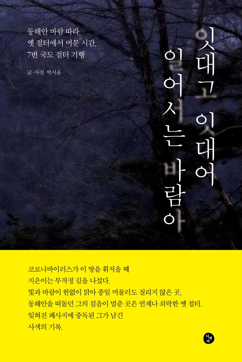잇대고 잇대어 일어서는 바람아