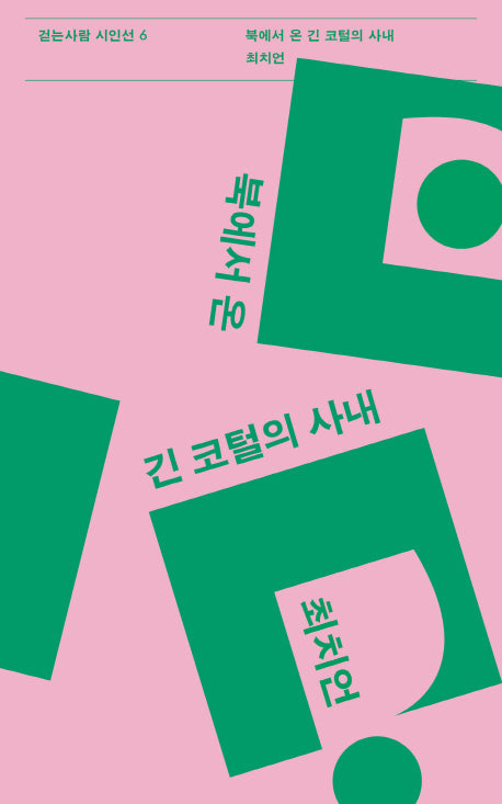 북에서 온 긴 코털의 사내(걷는사람 시인선 6)