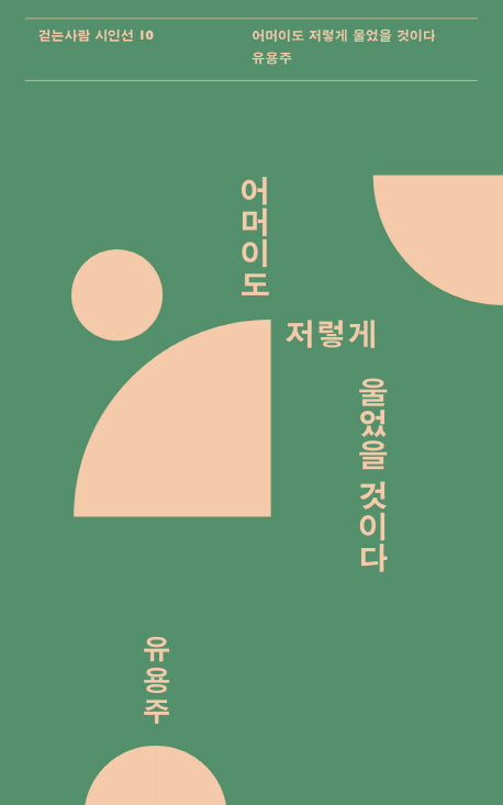 어머이도 저렇게 울었을 것이다(걷는사람 시인선 10)