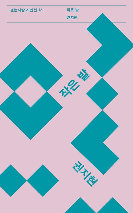 작은 발(걷는사람 시인선 16)