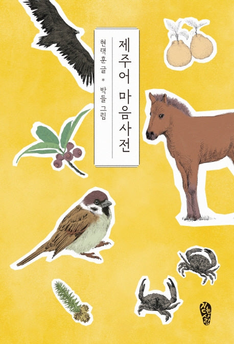제주어 마음사전(걷는사람 에세이 6)