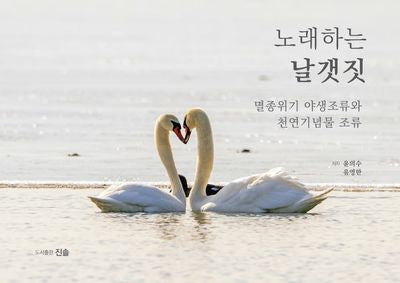 노래하는 날갯짓