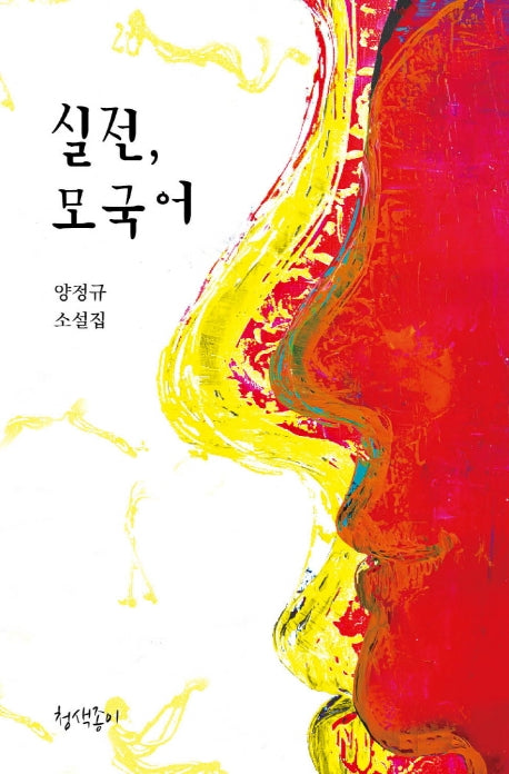 실전, 모국어(경기문학 35)