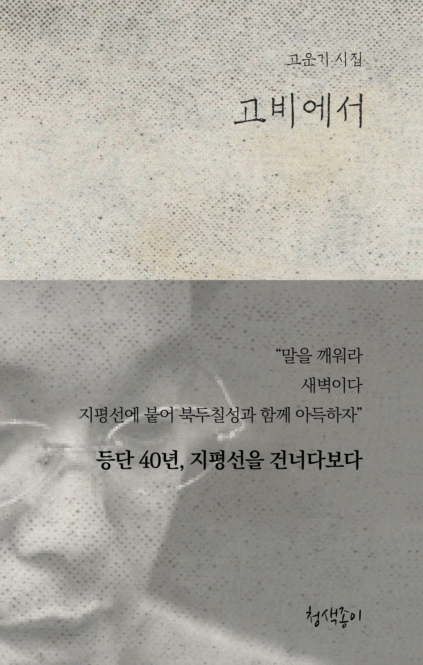 고비에서(청색지시선 3)(양장본 Hardcover)