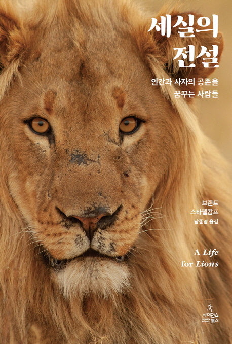 세실의 전설