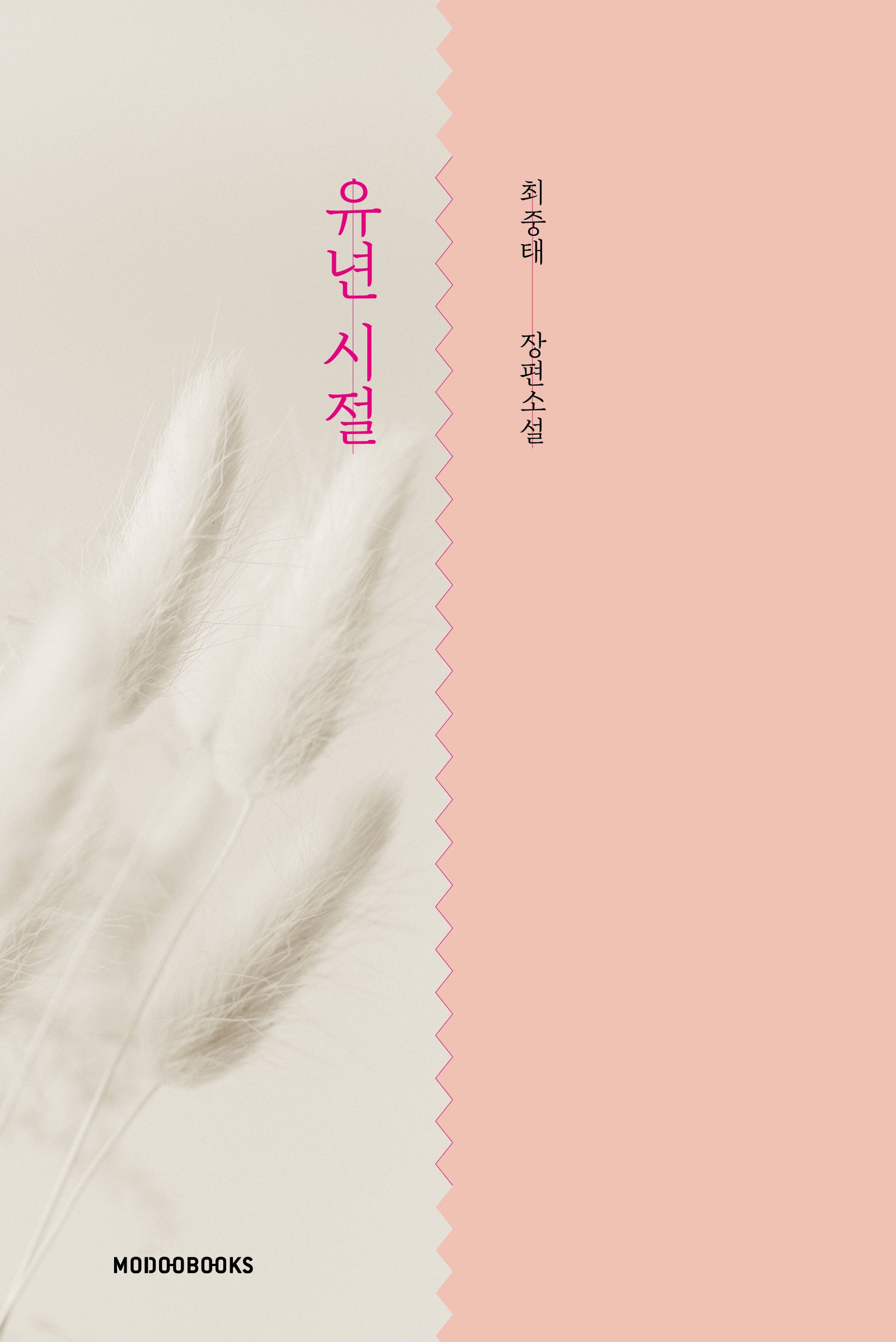 유년 시절(양장본 Hardcover)