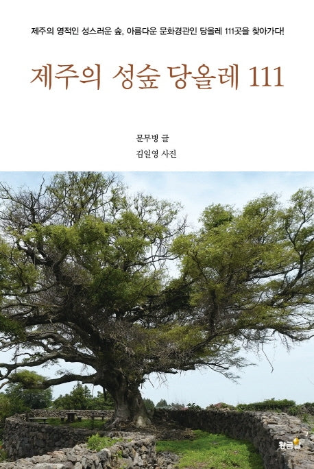제주의 성숲 당올레 111