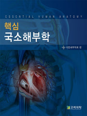 국소해부학(핵심)