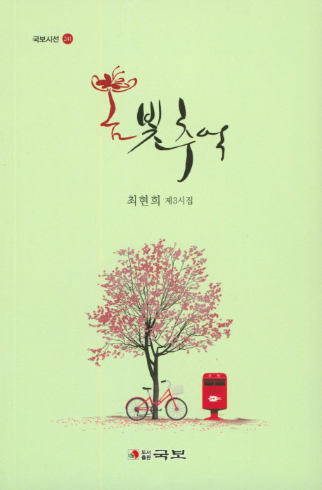 봄빛추억(국보시선 241)