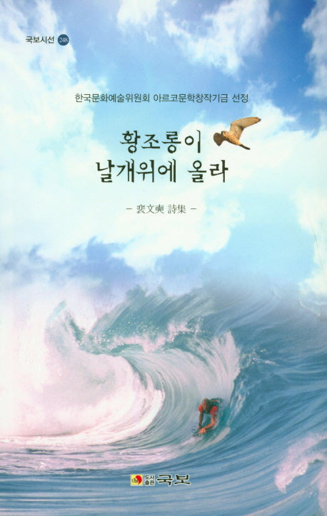 황조롱이 날개위에 올라(국보시선 248)