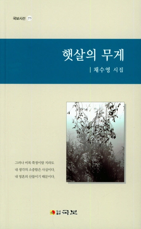 햇살의 무게(국보시선 273)