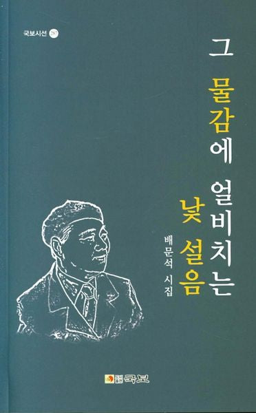 그 물감에 얼비치는 낯 설음(국보시선 287)
