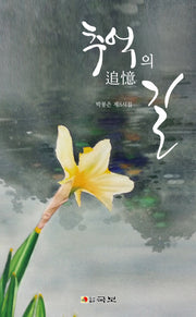 추억의 길